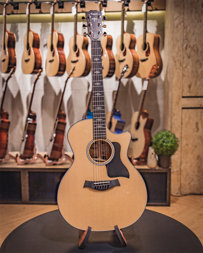 Taylor Road Show 2019: The Guitars 
