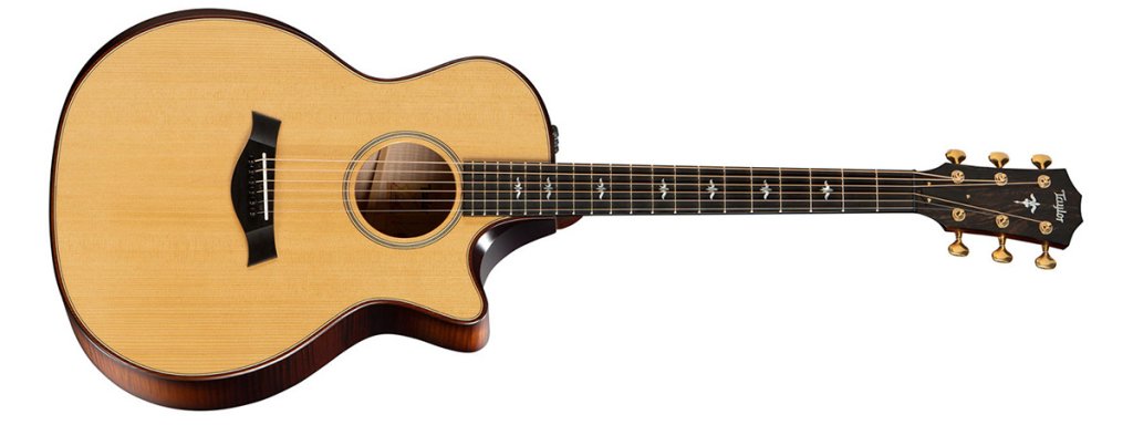 Taylor 614ce with a torrefied top